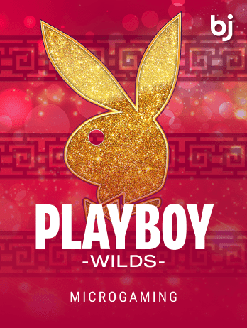 Playboy Wild thumbnail